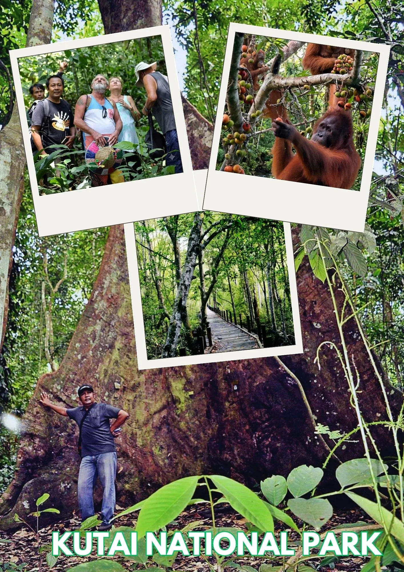 Kutai National Park Tour